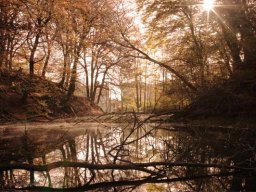 IMGP4044-Moelledammen